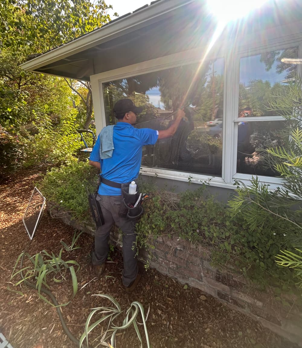 Exterior Window Cleaning and Track Detailing in Los Altos image