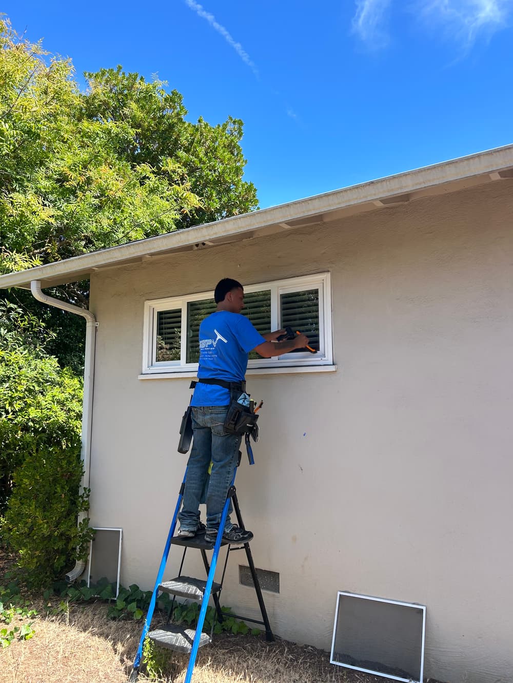 Gallery photos for Exterior Window Cleaning and Track Detailing in Los Altos: Image #2